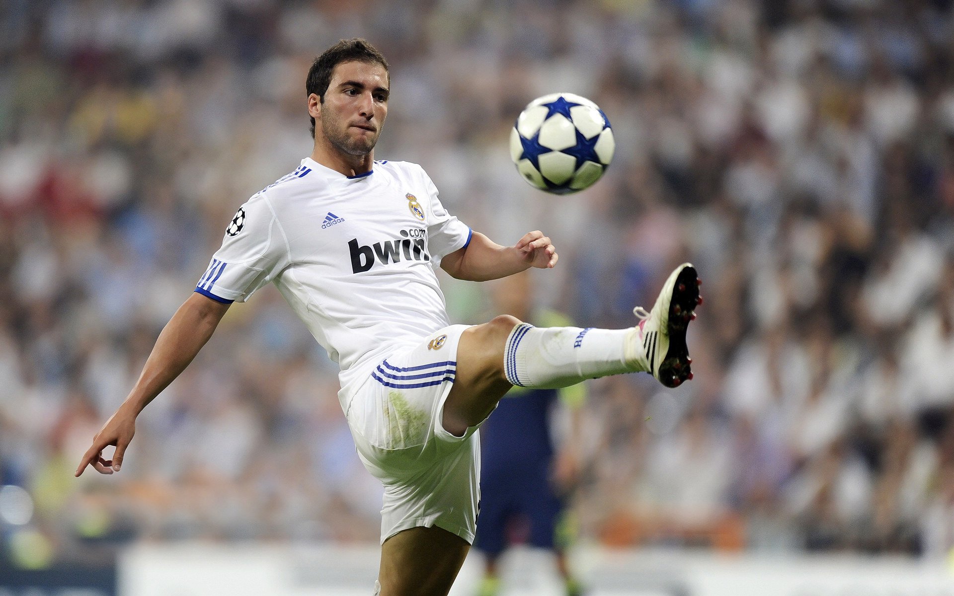 九游游戏中心官网-罗斯·范奥特尔戴克触壁瞬间全场惊呼，范尼斯特尔罗伊